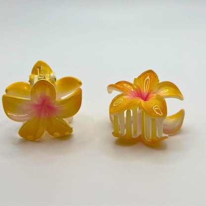 Kids Mini Claw Clips