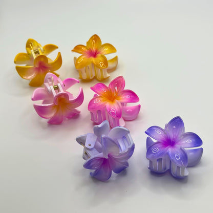 Kids Mini Claw Clips